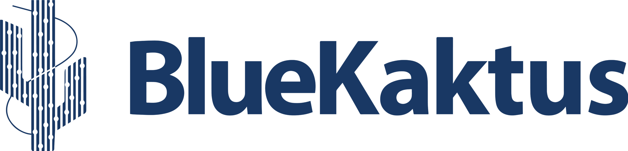 BlueKaktus
